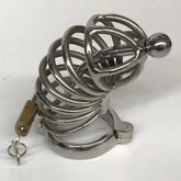 Instituted Cock Cage & Penis Plug Large Male Chastity